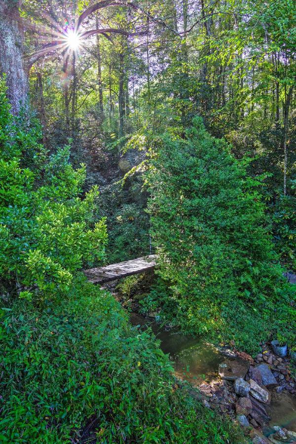 Shaw Creek Cottage With Fire Pit And Forest Views Хендерсонвилл Экстерьер фото